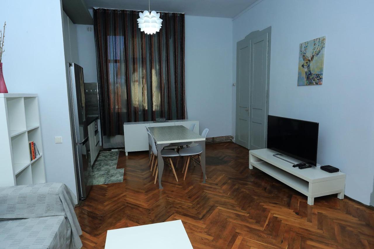Napoca Central Apartment Cluj-Napoca Esterno foto